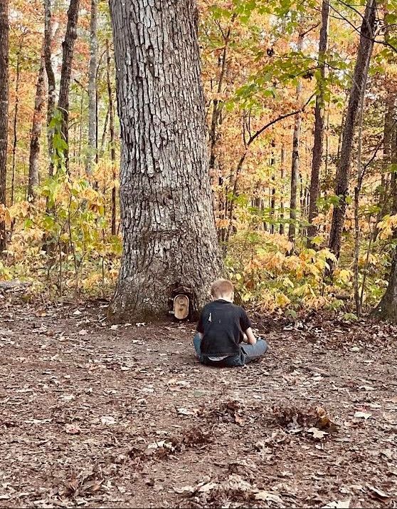 A young boy is sitting under a tree in the woods.
