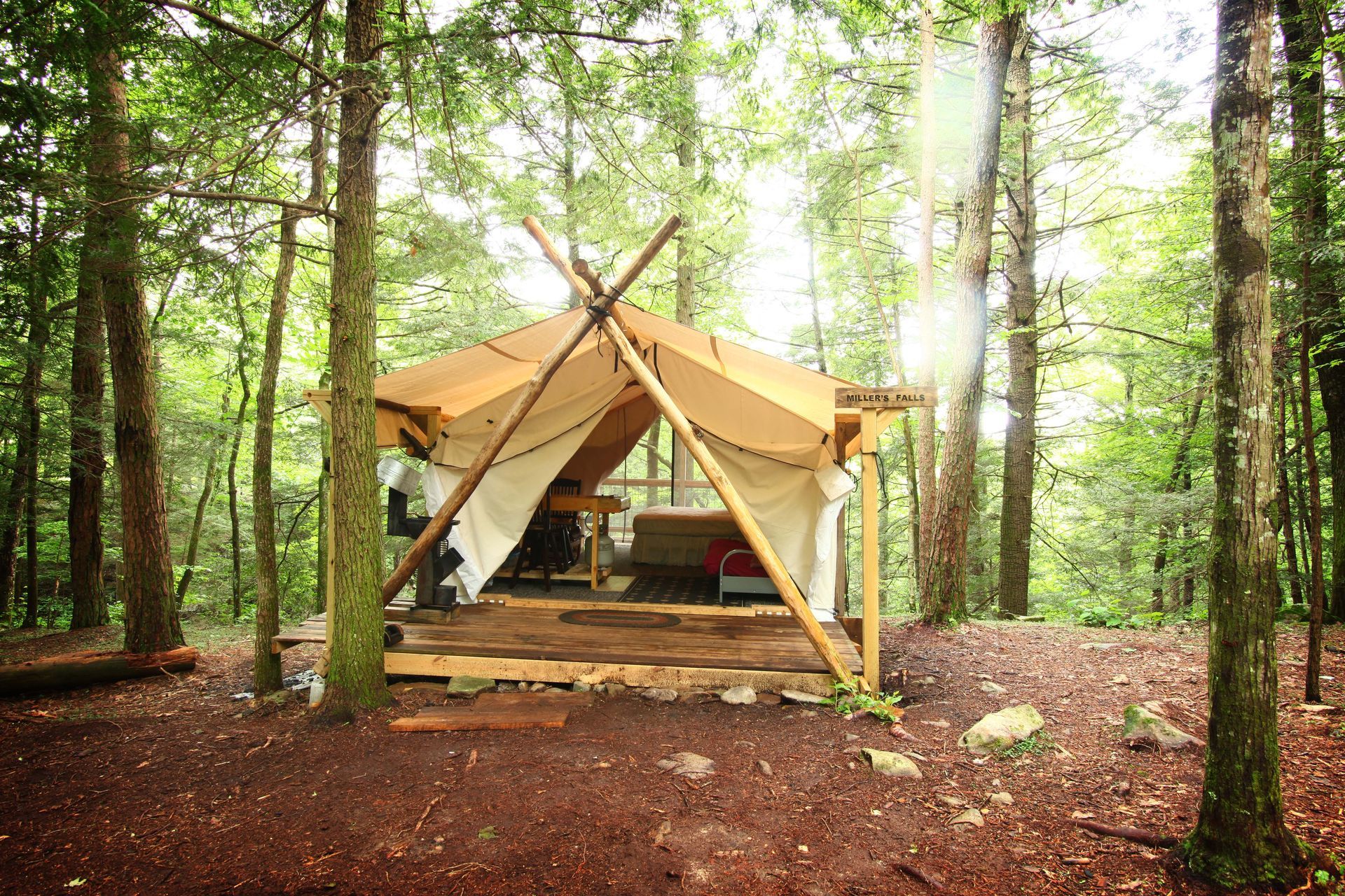 A tent is sitting in the middle of a forest.