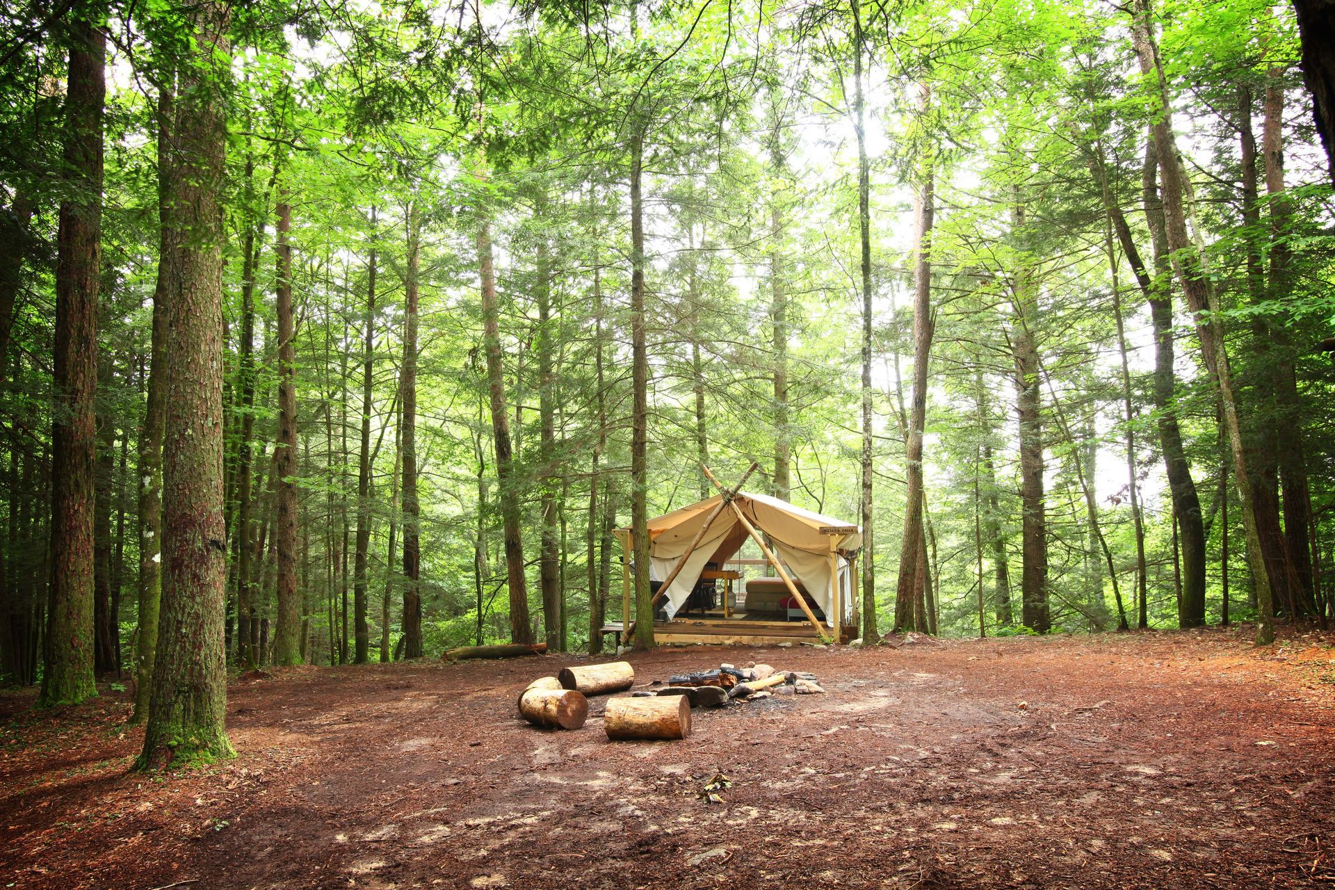 A tent is sitting in the middle of a forest surrounded by trees.