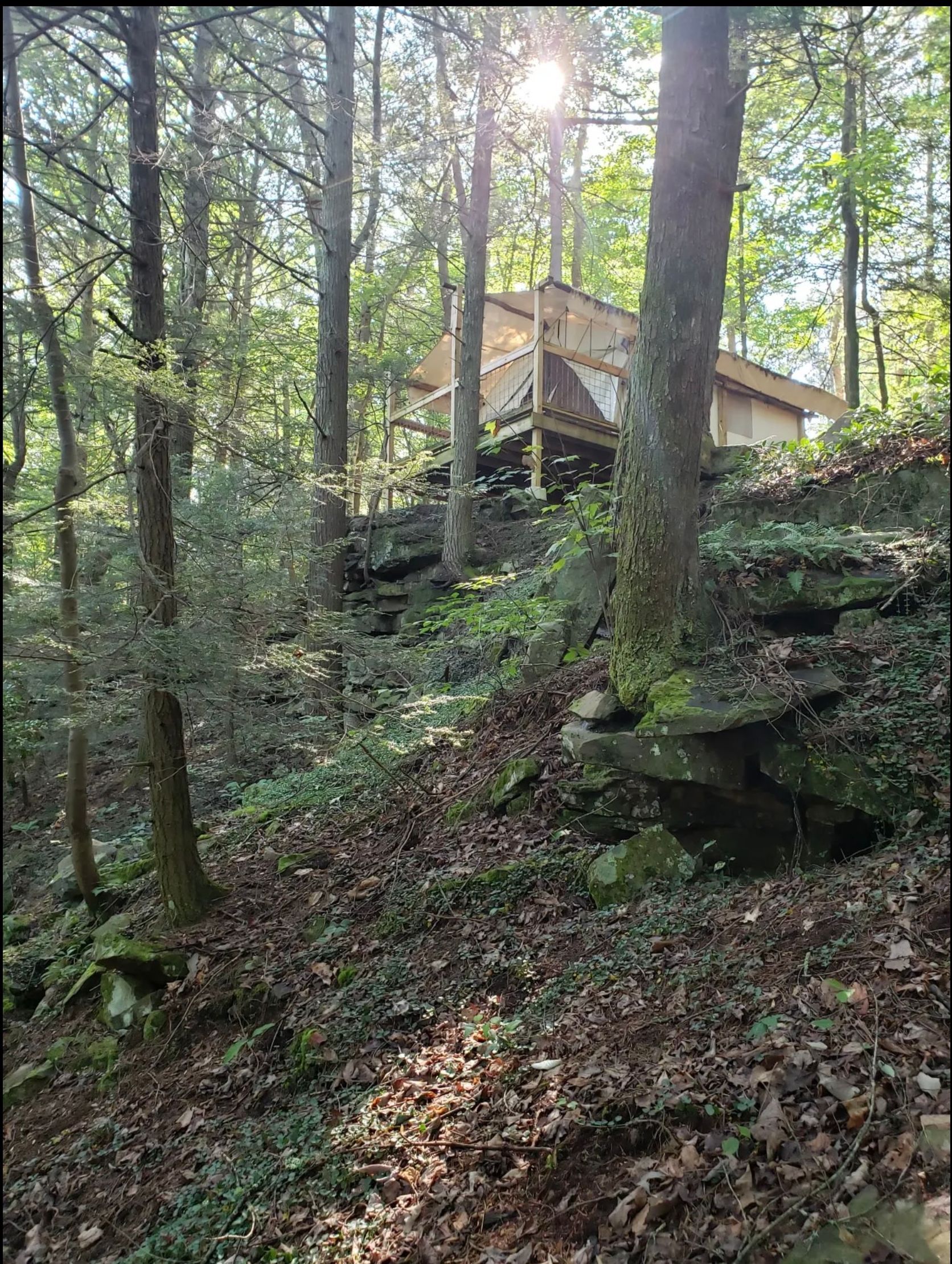 A house is surrounded by trees and rocks in the middle of a forest.