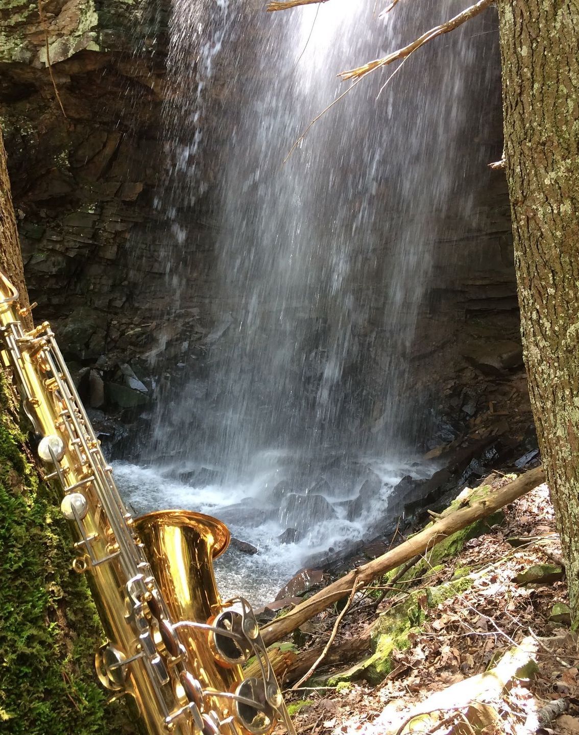 A saxophone is sitting in front of a waterfall in the woods.