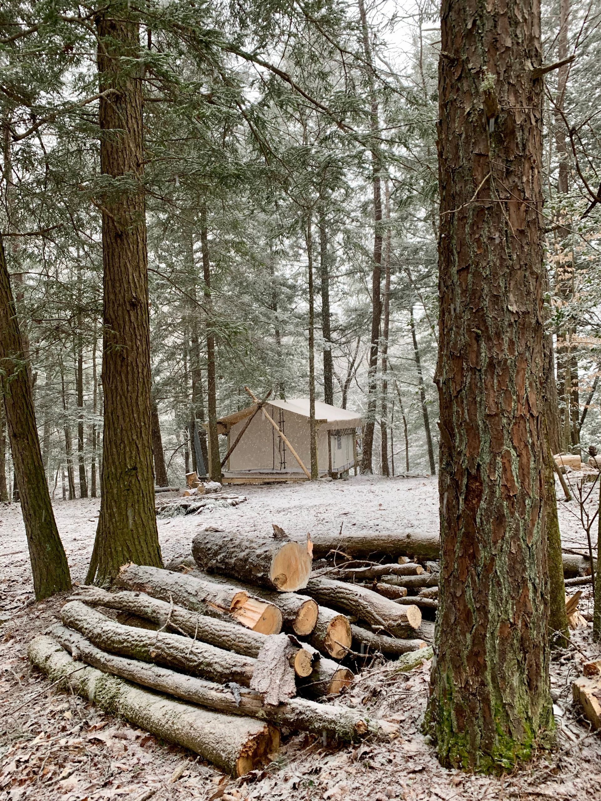 A pile of logs in the middle of a snowy forest with a tent in the background.