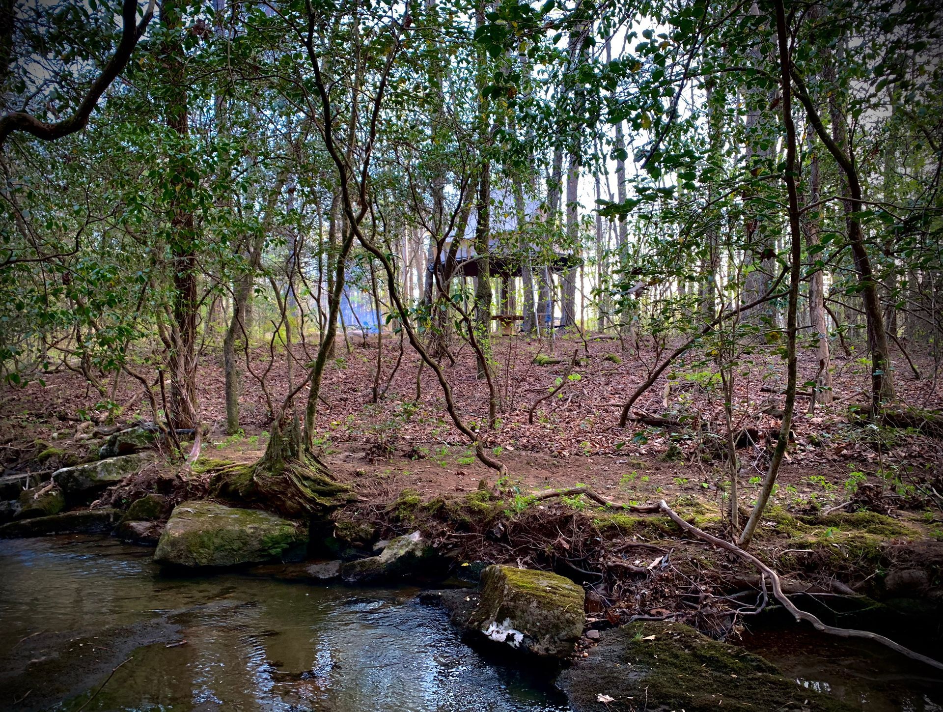 Cabin Rentals Tracy City, TN (931) 4502426