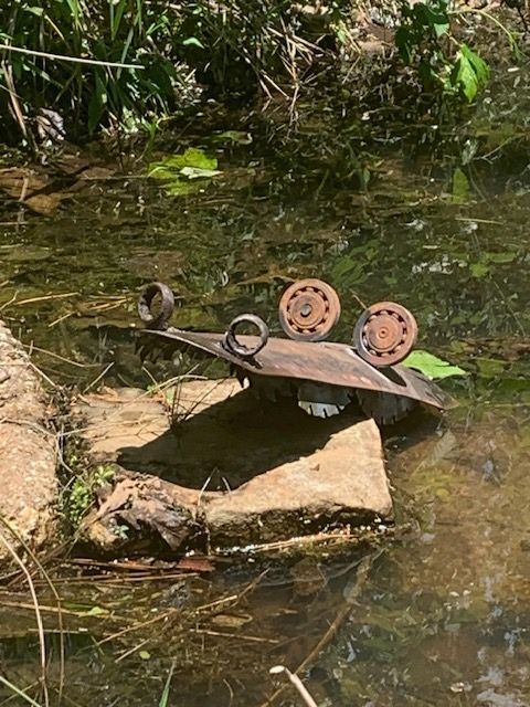 A frog is sitting on a rock in the water.