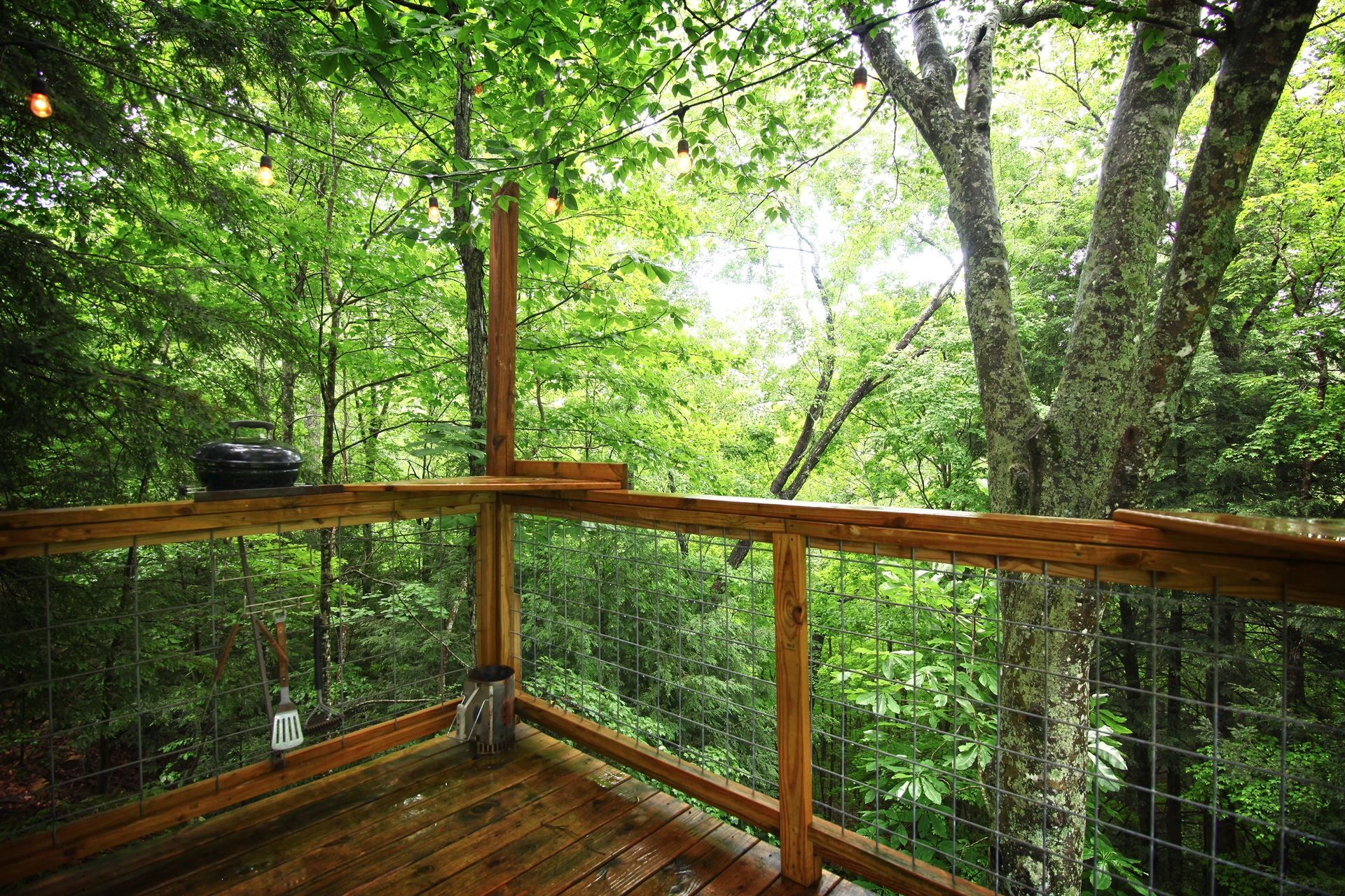 A wooden deck with a glass railing overlooking a forest.