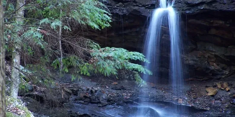 A waterfall is surrounded by trees and rocks in the middle of a forest.