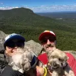 A man and a woman are posing for a picture with their dogs on top of a mountain.