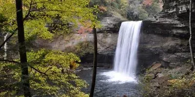 A waterfall is surrounded by trees in the middle of a forest.