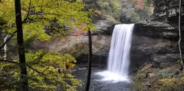 A waterfall is surrounded by trees in the middle of a forest.