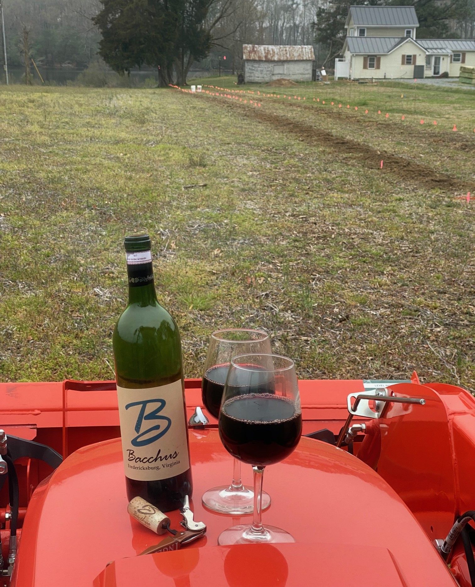 A bottle of wine with the letter b on it