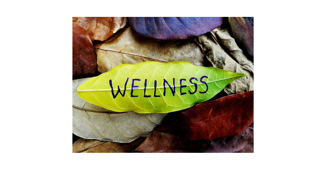 Green leaf with the word wellness written on it
