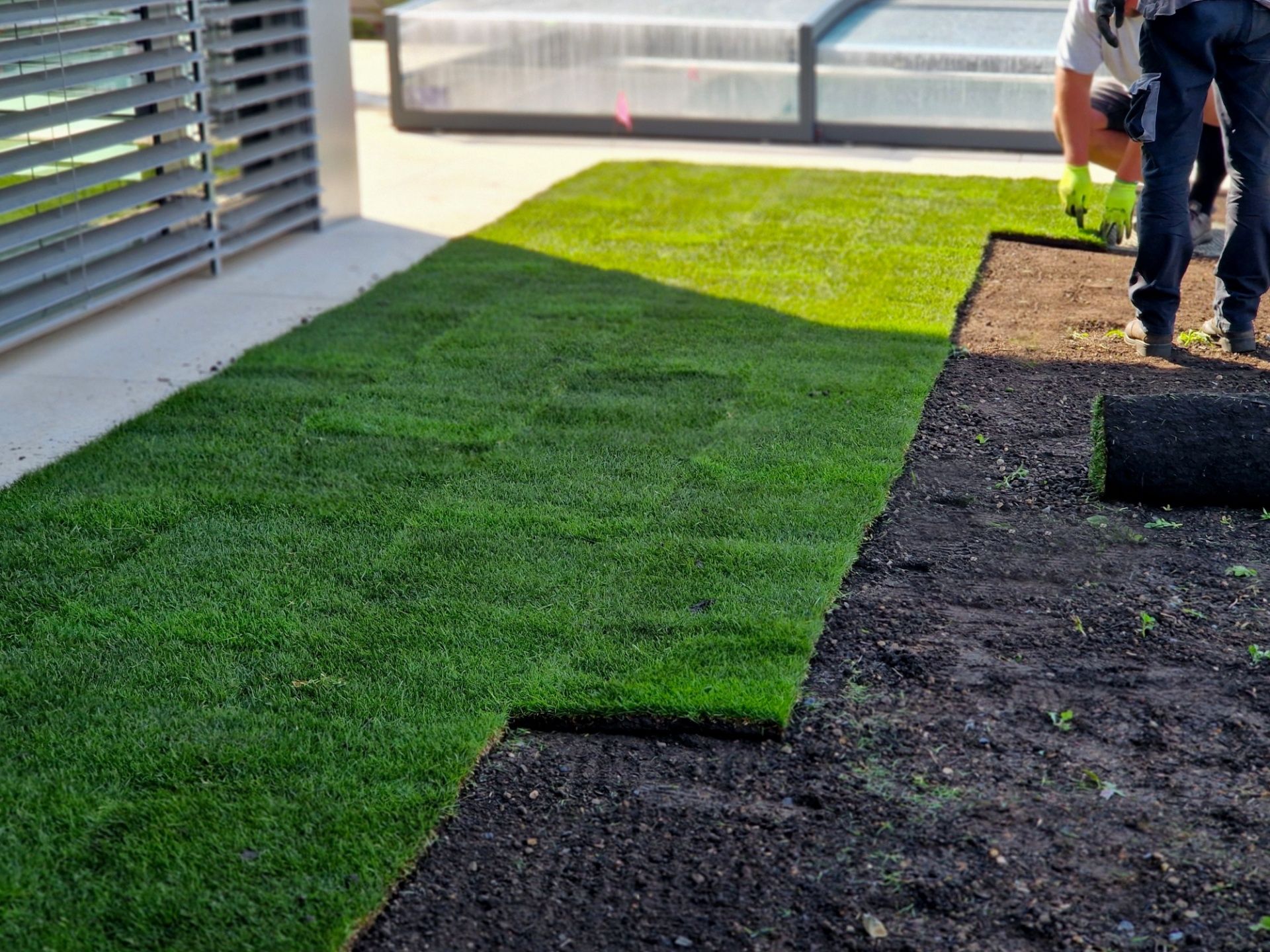 A man is laying a roll of grass in a yard.