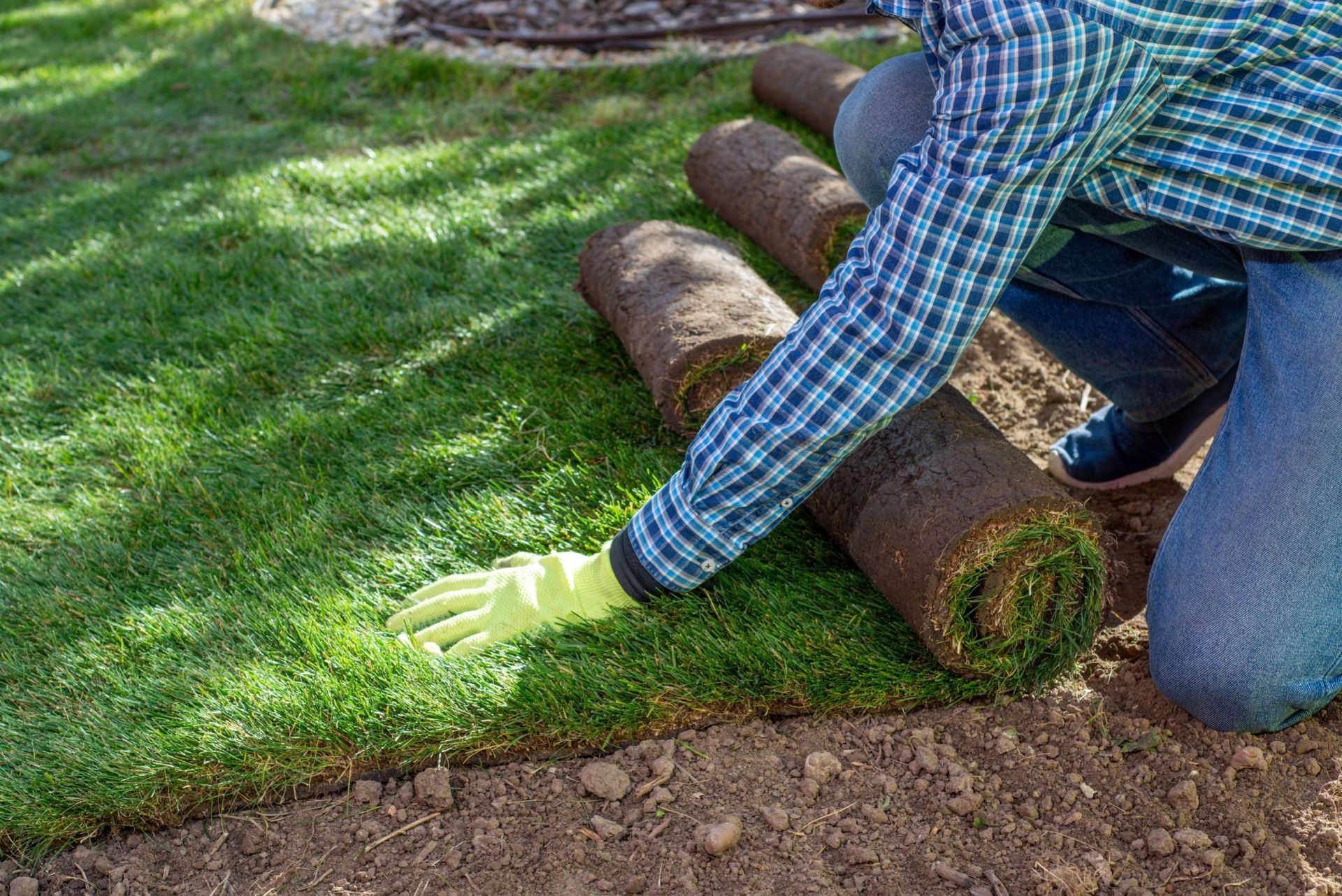 A man is kneeling down and rolling a roll of grass.