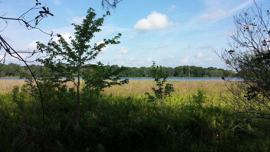 Home GoreRabel Real Estate Gainesville FL