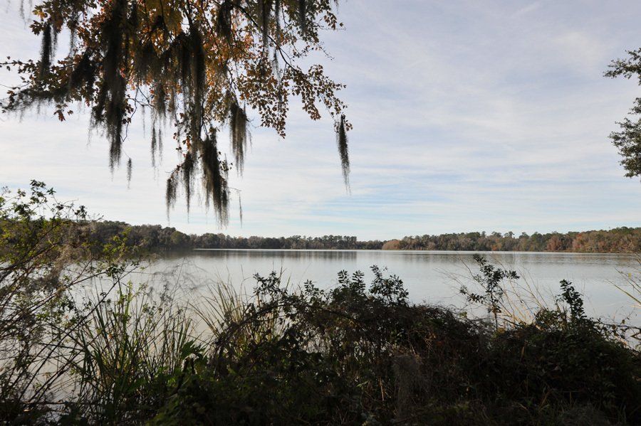 Home GoreRabel Real Estate Gainesville FL