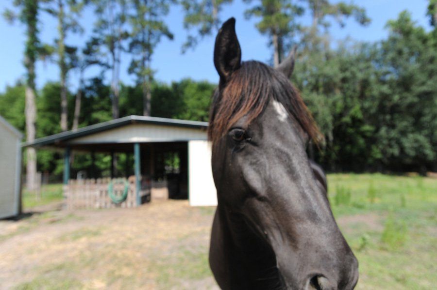 Home GoreRabel Real Estate Gainesville FL