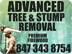 A blurry picture of the word logo on a white background.