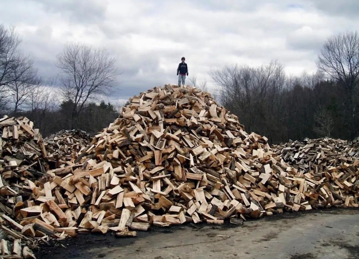 Person standing on a large pile of stacked firewood. Overcast sky and bare trees in the background.