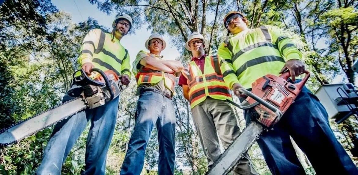 Four arborists in safety gear hold chainsaws, looking down. Green and orange vests, hard hats, trees in background.