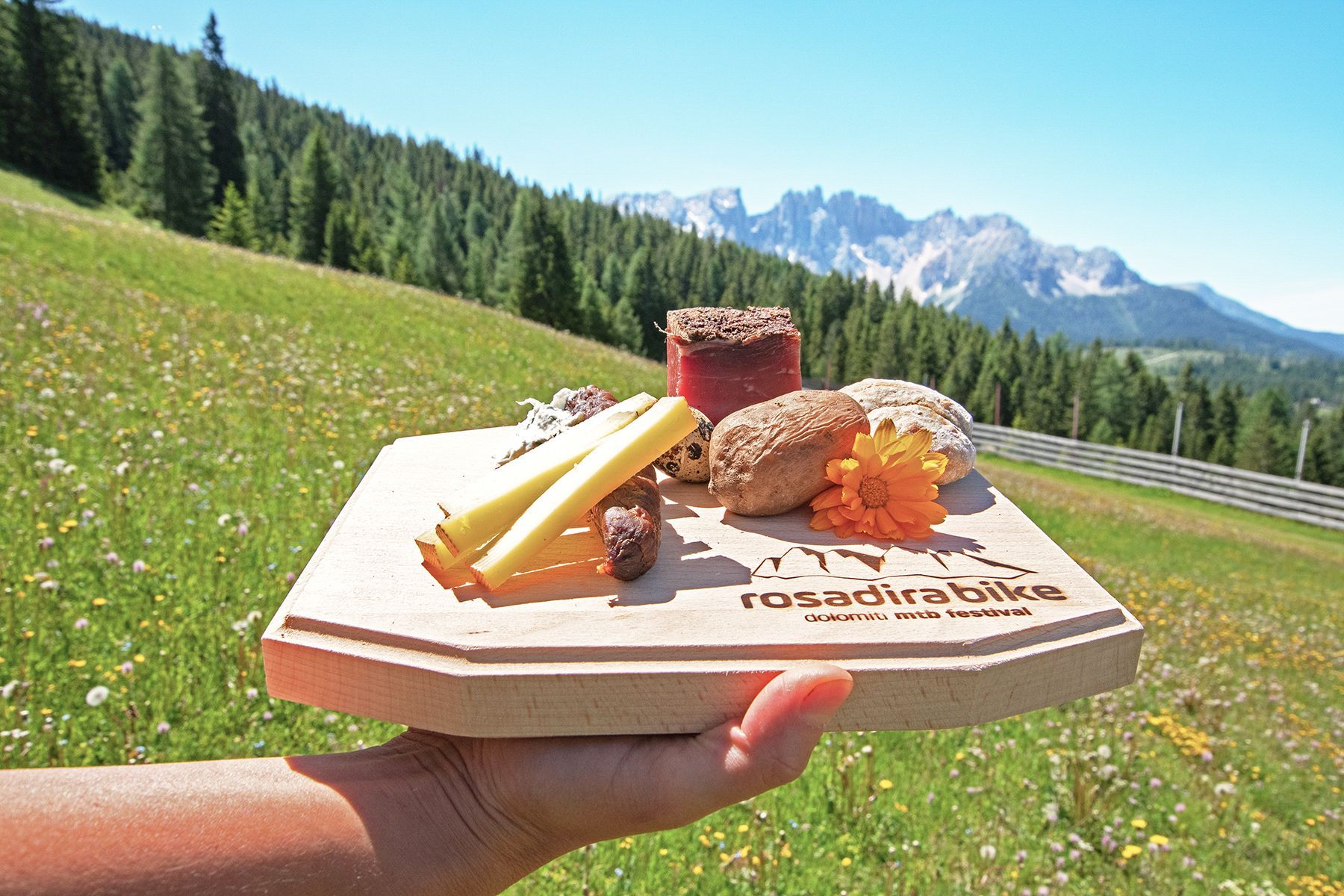 Mountain bike in Val d'Ega