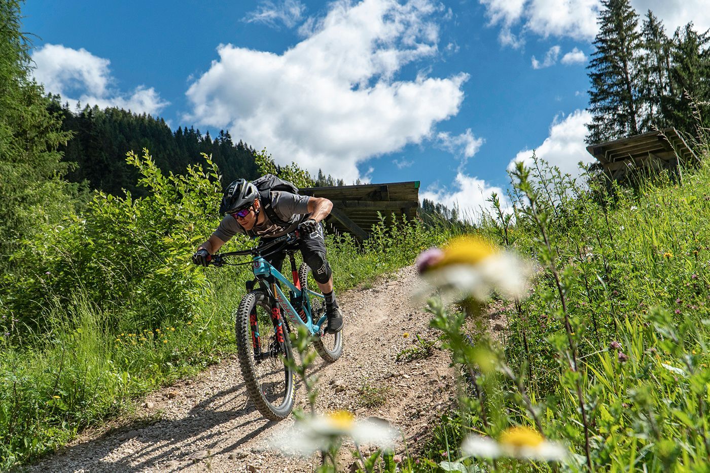 Vacanza in mountain bike in Alto Adige