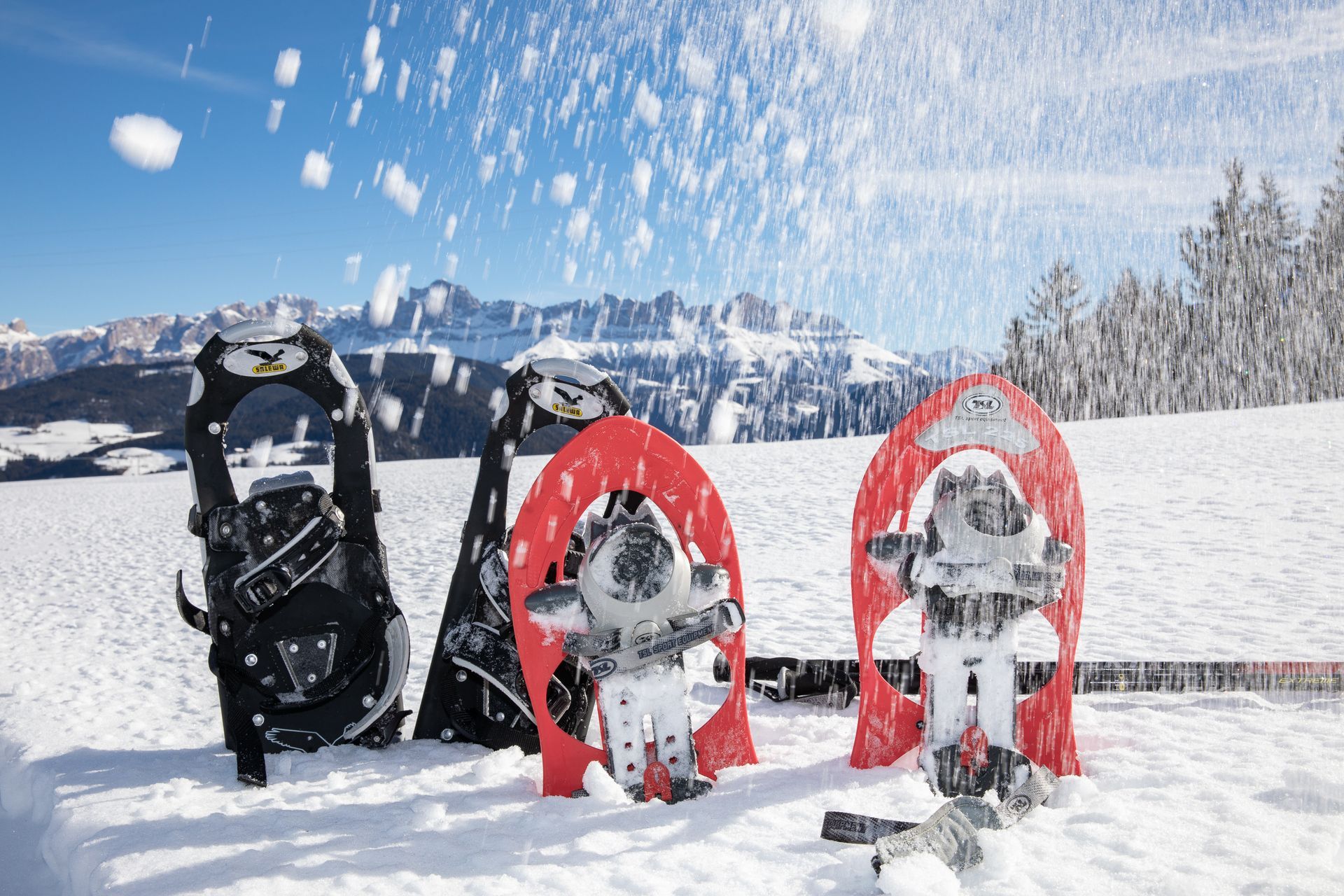 Ciaspolate tra le Dolomiti della Val d’Ega