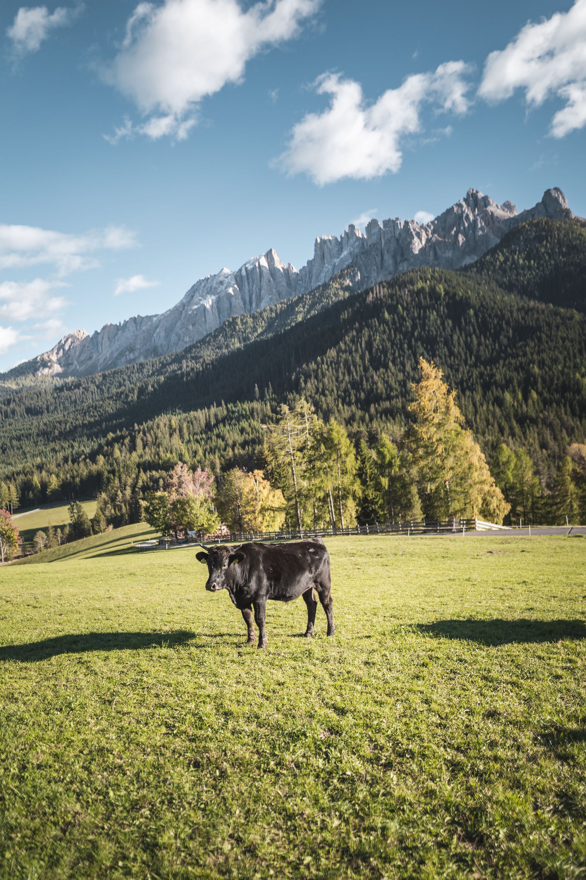 Natur pur Dolomiten