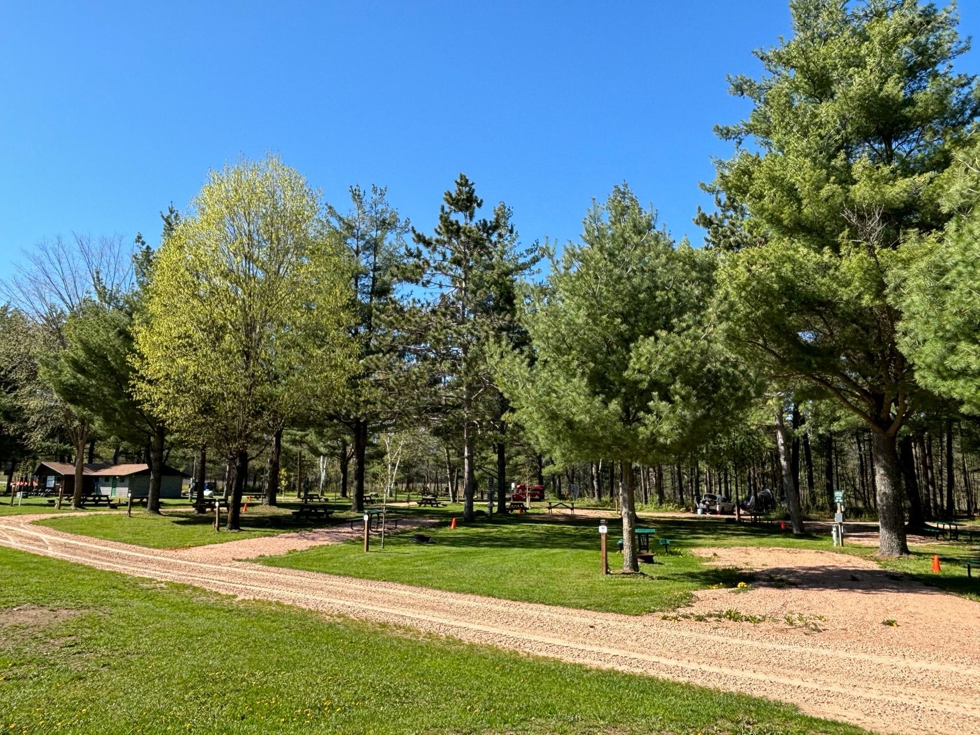 A group of rvs are parked in a grassy area surrounded by trees.