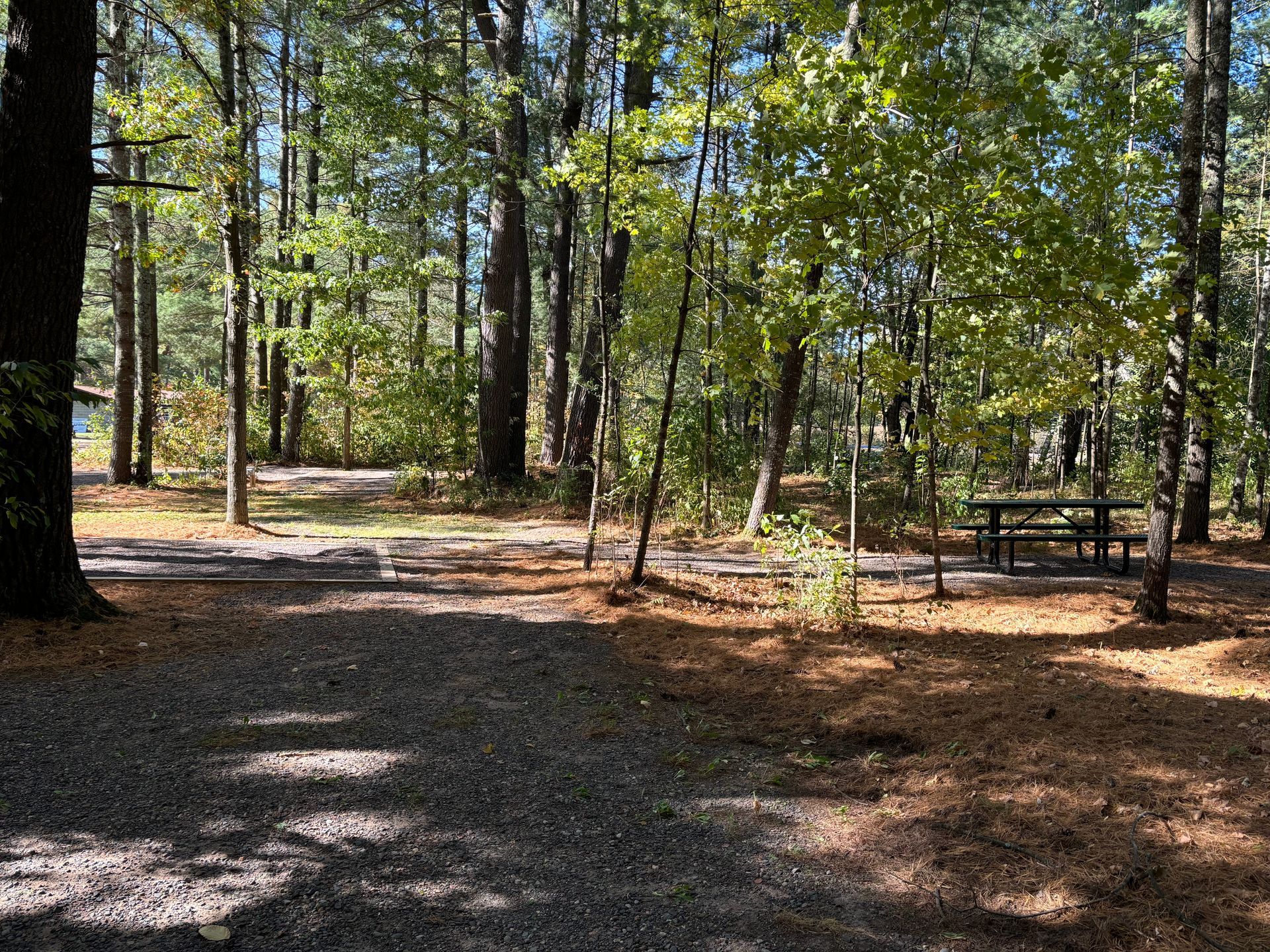 There is a picnic table in the middle of the woods.