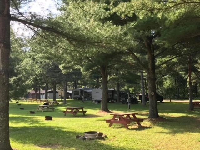 A park with a lot of trees and picnic tables