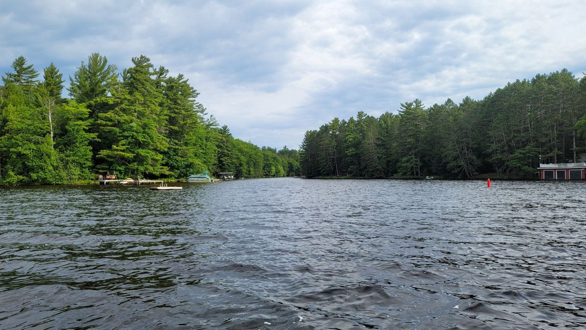 A large body of water surrounded by trees on a cloudy day