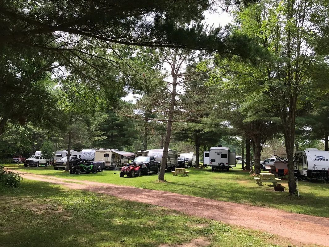 A group of rvs parked in a grassy area surrounded by trees.