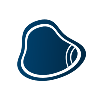 Custom Shapes Custom Shapes