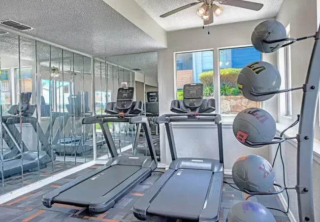 Gym with two treadmills, mirrors, and medicine balls.