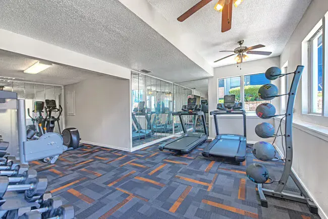 Gym with treadmills, weights, and exercise balls. Blue, orange, and gray patterned floor.