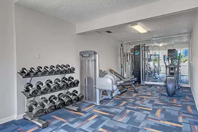 Gym with dumbbell rack, elliptical, and weight machines on blue patterned carpet.