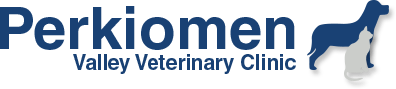 Vet Clinic  — Perkiomen Valley Veterinary Clinic in Collegeville, PA