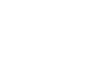 Blank white background.