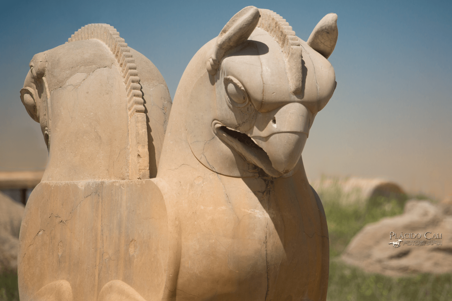 Irã, Irão, Persépolis