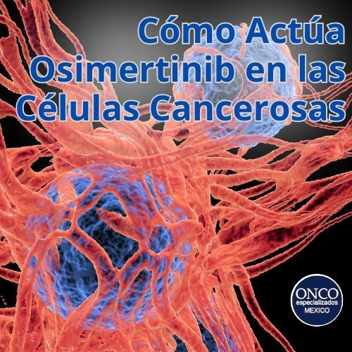 Osimertinib en células con mutaciones EGFR, mostrando la inhibición de la señalización celular.