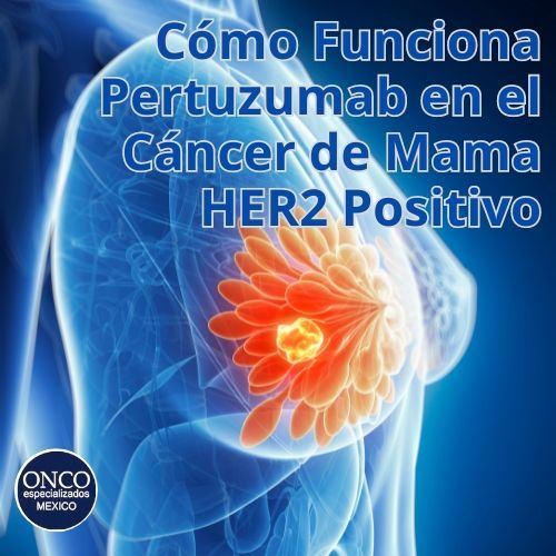 Ilustración del cáncer de mama mostrando cómo Pertuzumab actúa sobre células HER2 positivas.