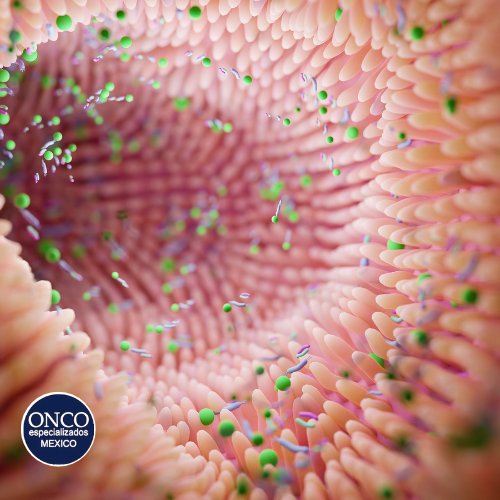 Microbioma intestinal vinculado a Crohn.