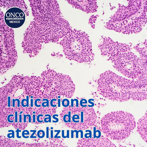 Tejido microscópico indicando uso clínico del atezolizumab