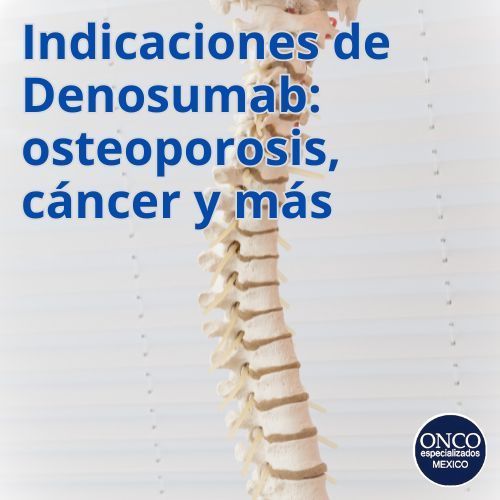 Imagen de columna vertebral para representar las indicaciones clínicas.