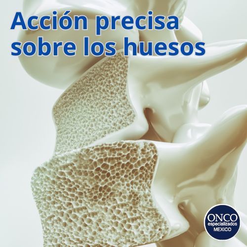 Modelo 3D de hueso humano para ilustrar acción del Denosumab.