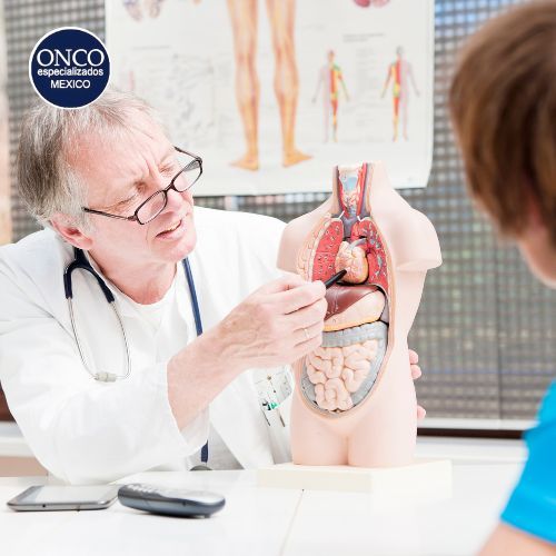 Especialista explicando el impacto del lupus en órganos vitales.