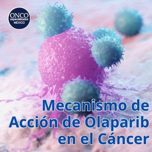 Ilustración explicativa de cómo Olaparib inhibe la enzima PARP en células cancerosas, ayudando a combatir mutaciones BRCA.