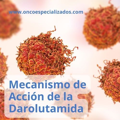 A picture of a cell that says mecanismo de accion de la darolutamida