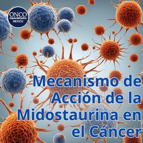 Gráfico mostrando cómo la midostaurina inhibe las quinasas para detener el crecimiento de células malignas en la leucemia.