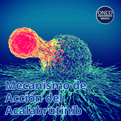 Gráfico que muestra cómo el Acalabrutinib inhibe la BTK para controlar la proliferación de células malignas.